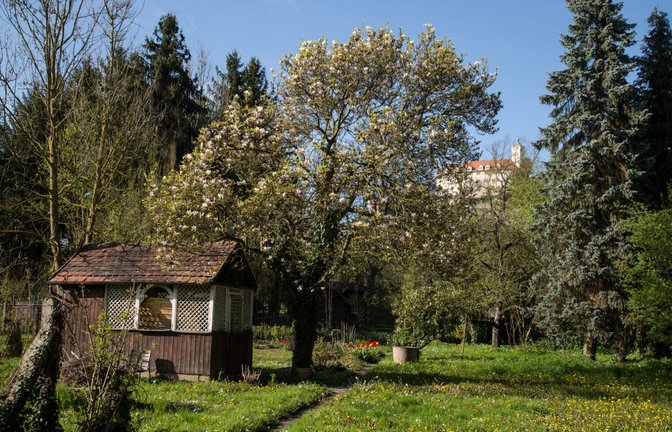 Die Bürgergärten mit Blick aufs Vaihinger Schloss Kaltenstein.  <span class='image-autor'>Fotos: pv</span>