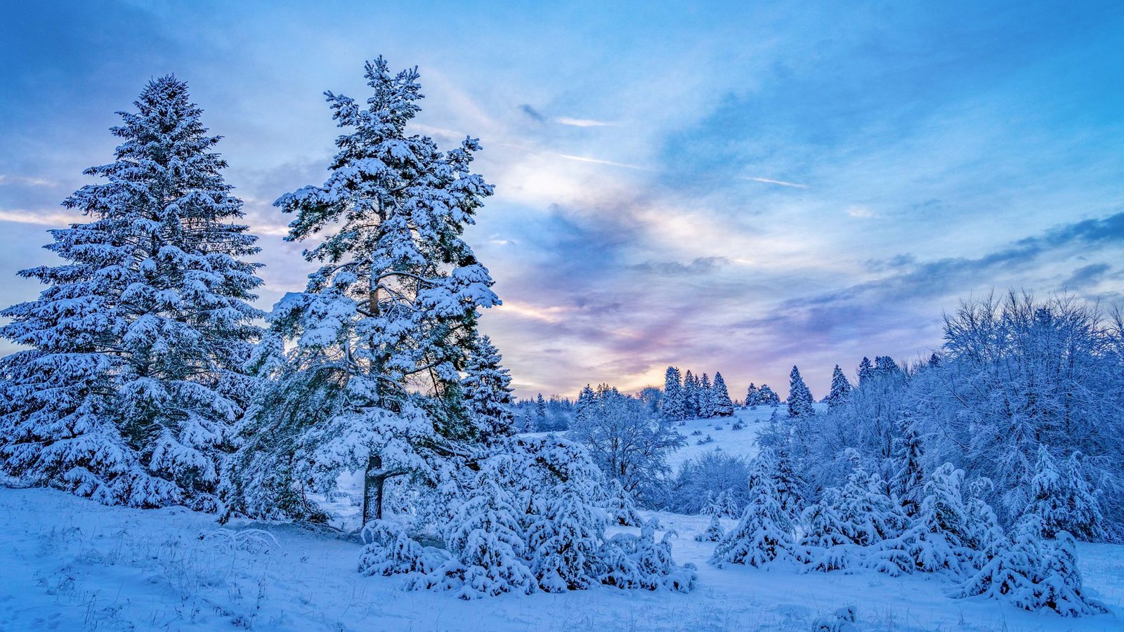 Auf dem Raichberg bei Albstadt liegt der Premiumwinterweg „Wintermärchen“.Foto: Faltin