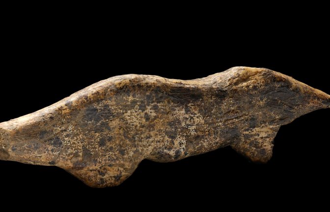 Laut Conard wurden in diesen eiszeitlichen Höhlen rund 120 Fragmente aus Mammutelfenbein gefunden. Die meisten von ihnen konnten bisher nicht gedeutet werden. Doch mit dem diesjährigen „Fund des Jahres“ sind es 34 Artefakte, die eindeutig als Tiere definieren werden können.<span class='image-autor'>Foto: Universität Tübingen/Ria Litzenberg</span>