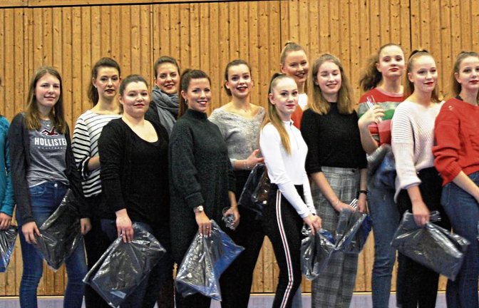 Die Gymnastinnen des TV Sersheim hatten im vergangenen Jahr tolle Leistungen gebracht und wurden dafür entsprechend geehrt.  Fotos: p