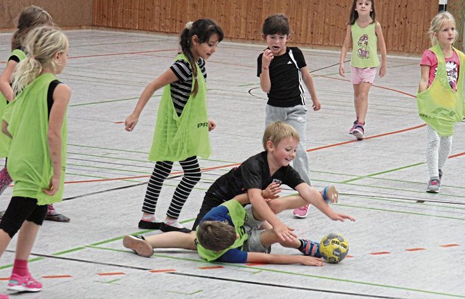Wenn irgendwo ein Ball frei rollt, heißt es beim Handballgrundschulaktionstag in der Illinger Stromberg-Sporthalle meist: Alle auf ihn mit Gebrüll! Fotos: Nachreiner