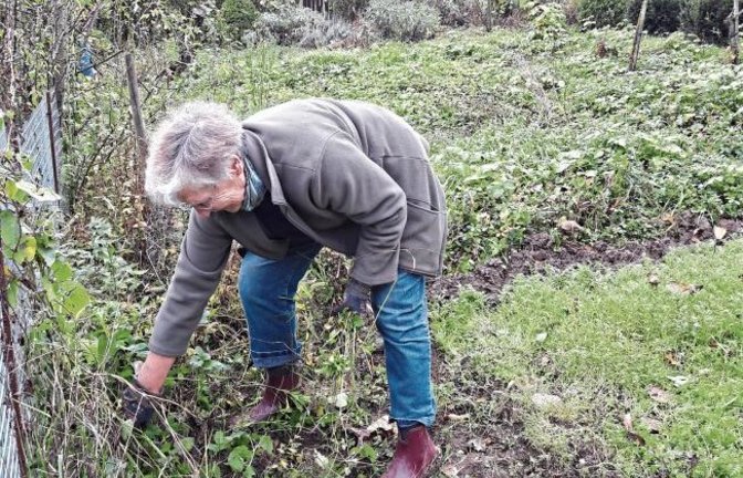 Die Arbeit im Auricher Krautgarten ist Bärbel Müllers Sport im Freien. Foto: Rücker