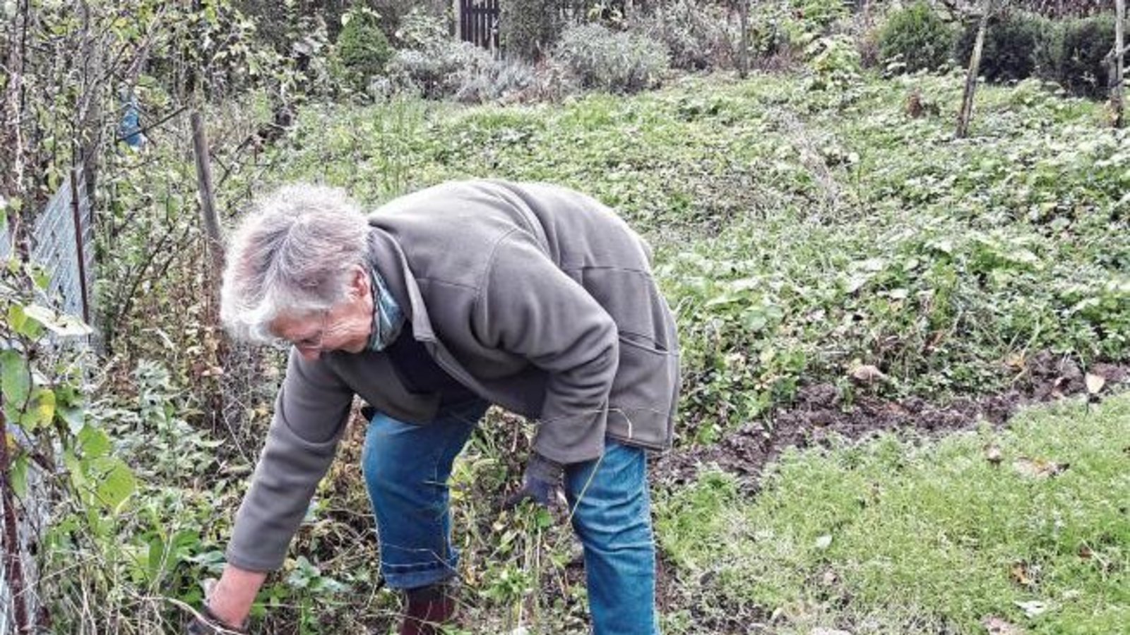 Die Arbeit im Auricher Krautgarten ist Bärbel Müllers Sport im Freien. Foto: Rücker