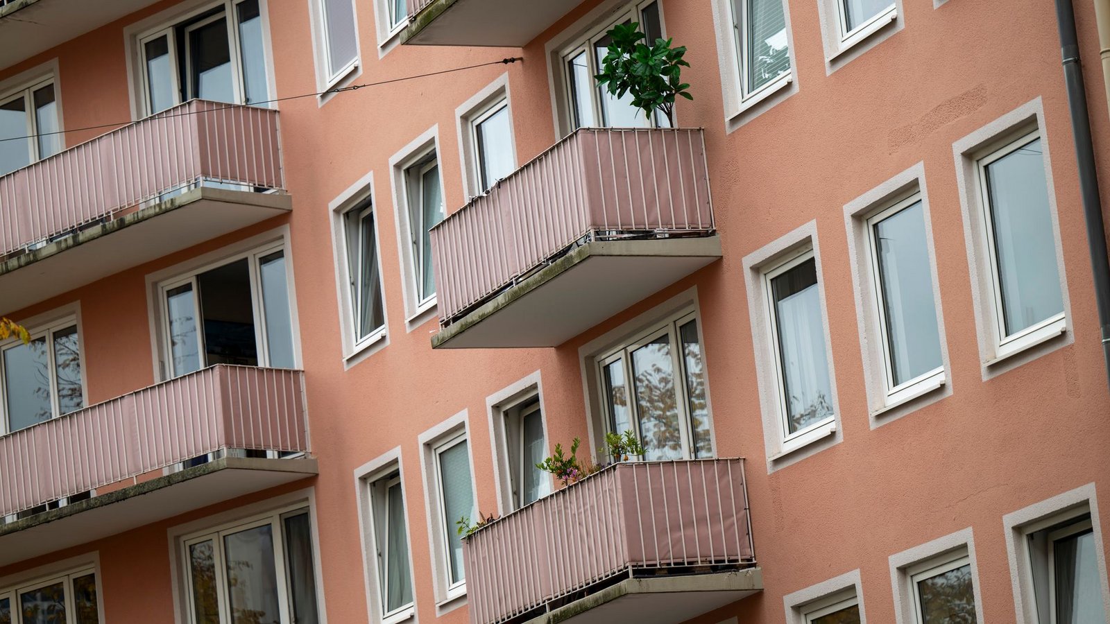 Welche Sprachen werden in den Haushalten in Deutschland gesprochen? (Symbolbild)Foto: Peter Kneffel/dpa