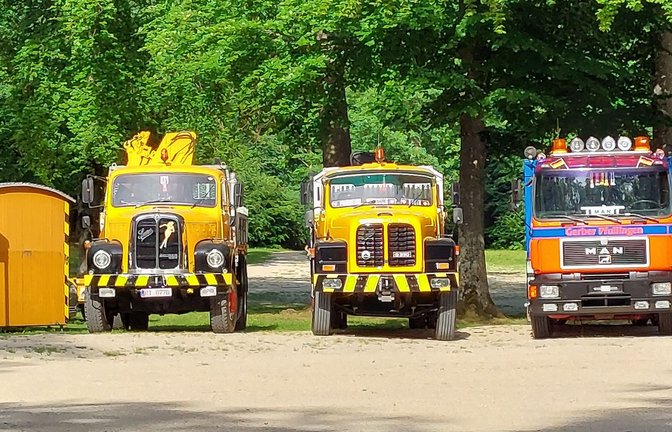 Das Oldtimertreffen findet zum sechsten Mal statt.<span class='image-autor'>Foto: privat</span>