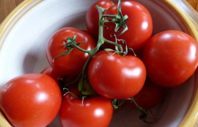 So kennen und lieben die meisten die Tomate. Foto: Rücker