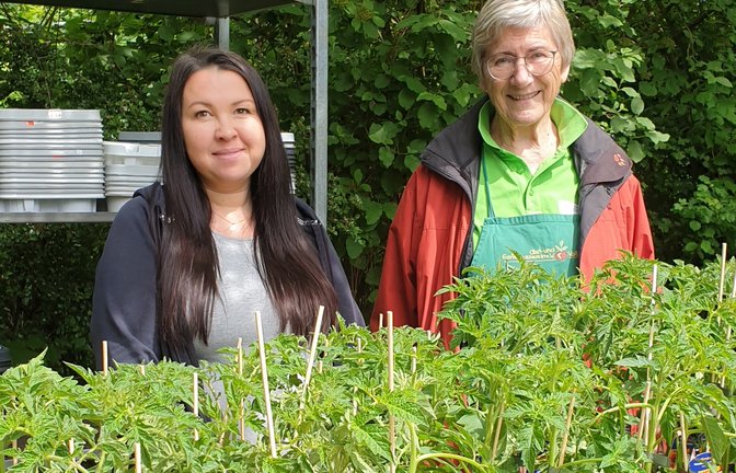 Natalja Tashiran (links) und Helga Straub beim Pflanzenverkauf.  <span class='image-autor'>Foto: OGV Vaihingen</span>
