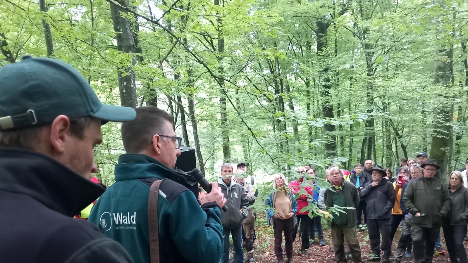 Förster Theo Wöhr (mit Mikrofon) erläutert den Teilnehmerinnen und Teilnehmern des Rundgangs, wie es aktuell um den Sachsenheimer Wald bestellt ist. Foto: Glemser Förster Theo Wöhr (mit Mikrofon) erläutert den Teilnehmerinnen und Teilnehmern des Rundgangs, wie es aktuell um den Sachsenheimer Wald bestellt ist. Foto: Glemser