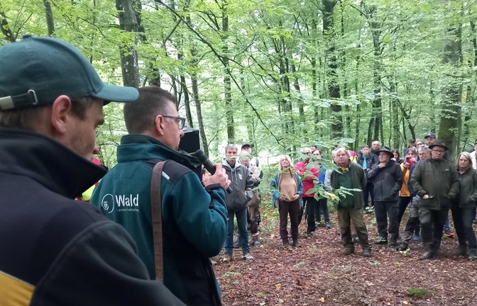 Förster Theo Wöhr (mit Mikrofon) erläutert den Teilnehmerinnen und Teilnehmern des Rundgangs, wie es aktuell um den Sachsenheimer Wald bestellt ist.  <span class='image-autor'>Foto: Glemser</span>