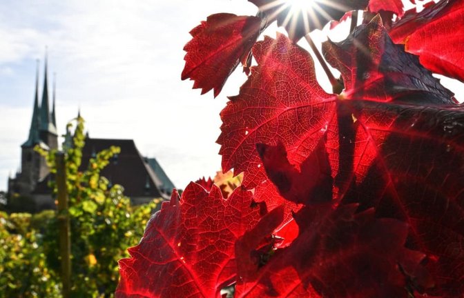 Ein Spätsommertag mitten im Oktober gibt es an diesem Freitag im Südwesten&nbsp;– dann schlägt das Wetter um (Symbolbild).<span class='image-autor'>Martin Schutt/dpa</span>