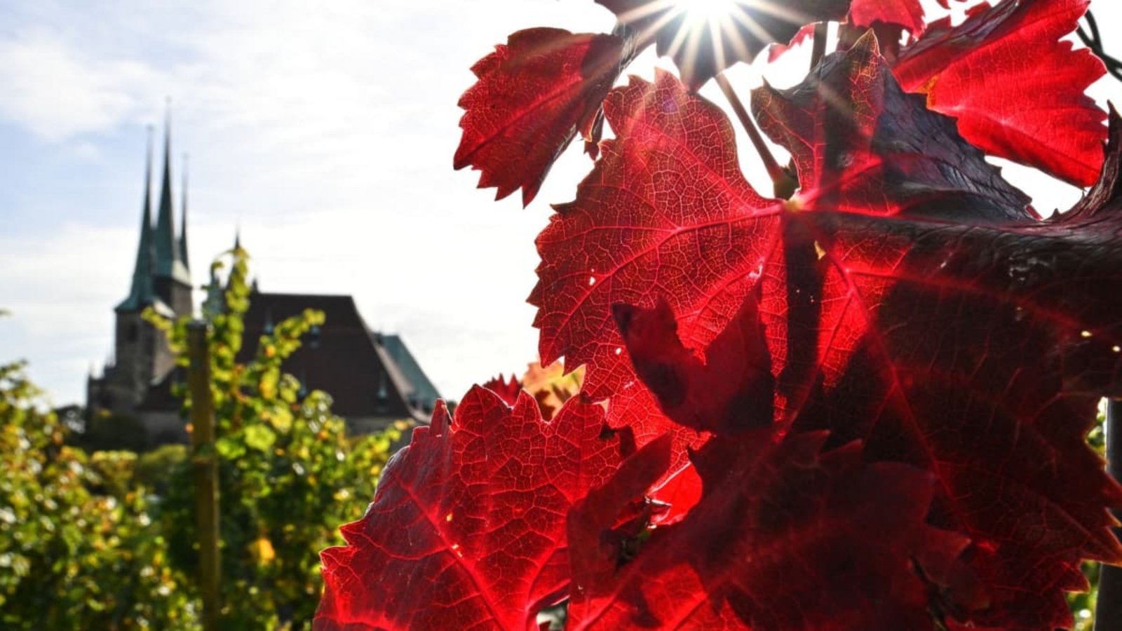 Ein Spätsommertag mitten im Oktober gibt es an diesem Freitag im Südwesten&nbsp;– dann schlägt das Wetter um (Symbolbild).Martin Schutt/dpa