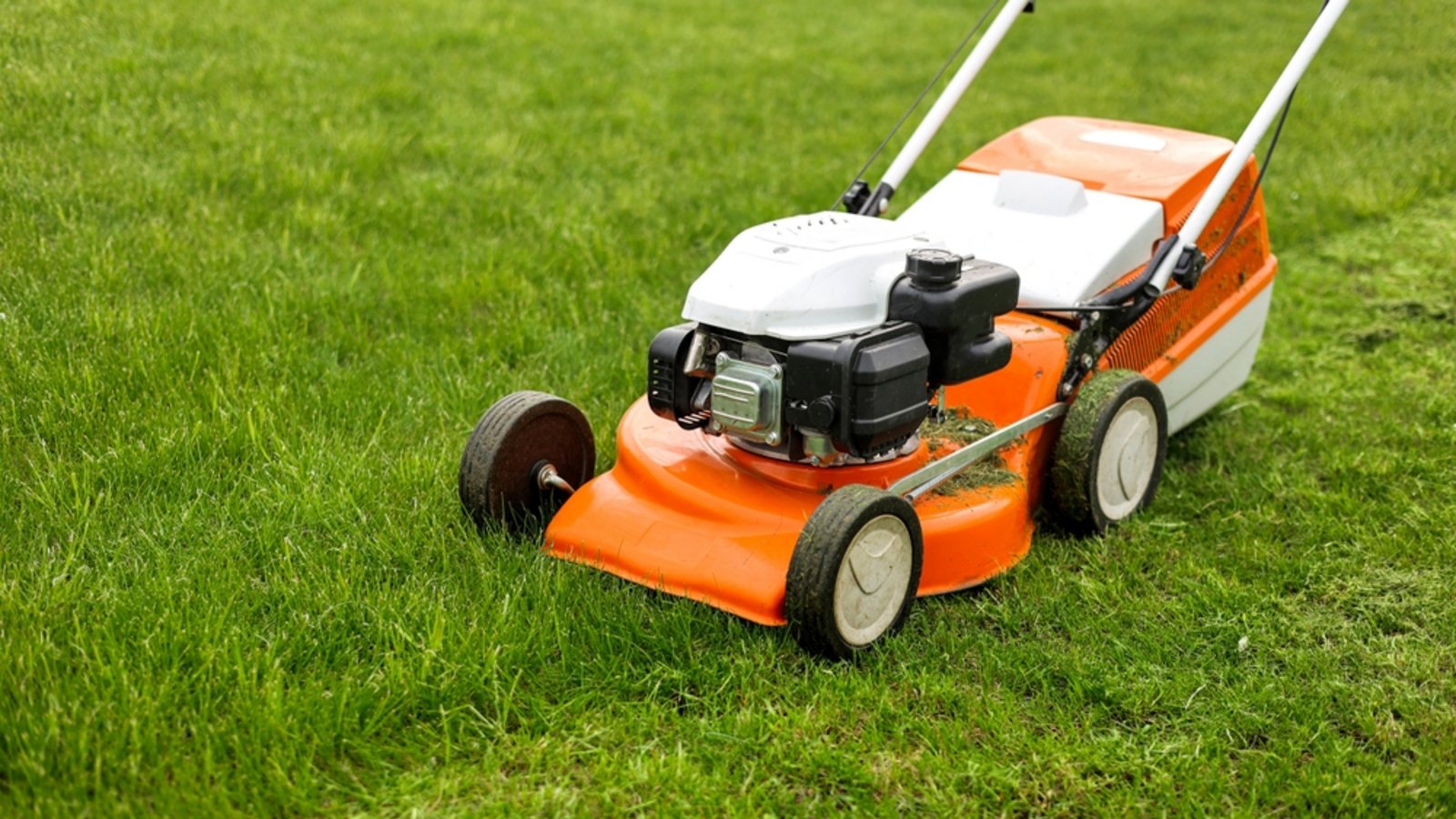 Gartenarbeiten sind nur bedingt erlaubt.Foto: Andrii Medvediuk / shutterstock.com Gartenarbeiten sind nur bedingt erlaubt.Foto: Andrii Medvediuk / shutterstock.com