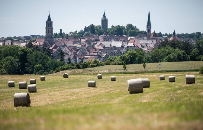 Rund 40 Prozent der Fläche in Baden-Württemberg werden für die Landwirtschaft genutzt, wie etwa dieses Feld vor Rottweil. (Archivbild)<span class='image-autor'>Foto: IMAGO/Silas Stein/IMAGO/Silas Stein</span>