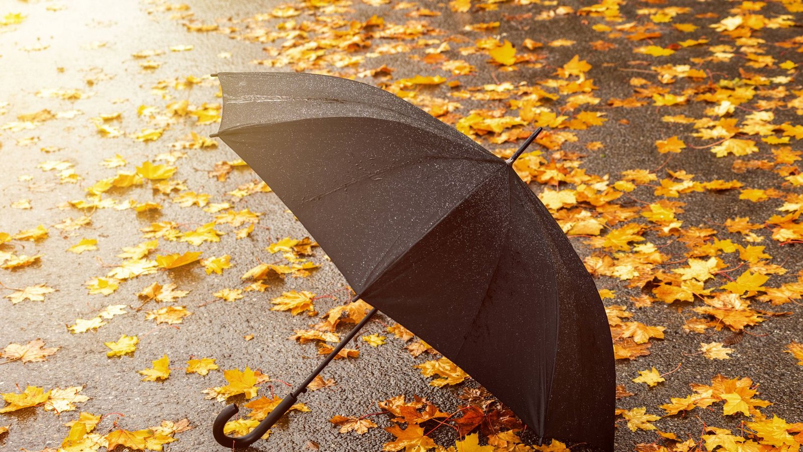 Sommer adé – Hallo Herbst?Foto: imago images/Shotshop/Michael Bihlmayer via www.imago-images.de Sommer adé – Hallo Herbst?Foto: imago images/Shotshop/Michael Bihlmayer via www.imago-images.de