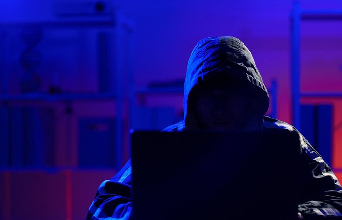 Die Ermittler konnten illegale Aktivitäten im Internet aufdecken (Symbolbild).<span class='image-autor'>Foto: IMAGO/Zoonar</span>
