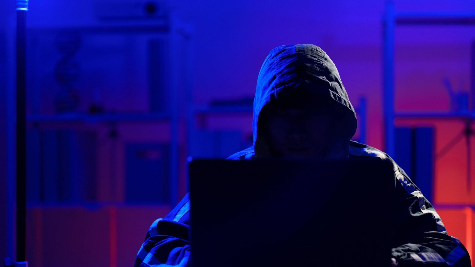Die Ermittler konnten illegale Aktivitäten im Internet aufdecken (Symbolbild).Foto: IMAGO/Zoonar Die Ermittler konnten illegale Aktivitäten im Internet aufdecken (Symbolbild).Foto: IMAGO/Zoonar