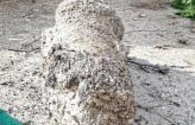 Das Betonsfundament führte zur teuren Reparatur.  Foto: LE