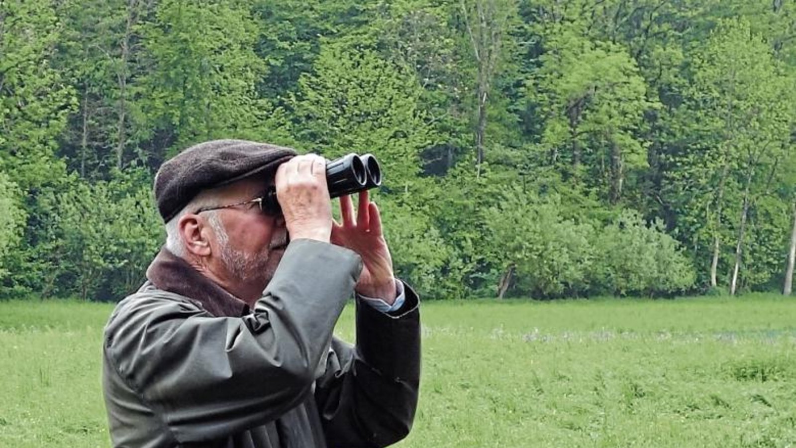 Joachim Sommer beim Blick durchs Fernglas im Auricher Kreuzbachtal. Foto: Rücker Joachim Sommer beim Blick durchs Fernglas im Auricher Kreuzbachtal. Foto: Rücker