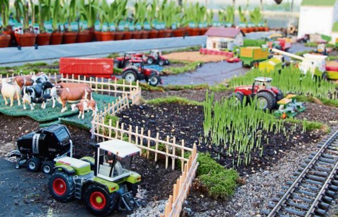 Zum letzten Mal wird am kommenden Wochenende auf dem Rosenhof Beutler in Horrheim eine große Landmaschinen-Ausstellung en miniature zu sehen sein. Der 15-jährige Adrian Beutler hat dafür noch einmal mehr als 200 landwirtschaftliche Geräte im Maßstab 1:32 zusammengetragen und sie in eine detailgetreue Landschaft mit Bauernhöfen, Äckern und Viehweiden integriert. Zu entdecken gibt es außerdem eine Getreideannahme, einen Landmaschinenhändler, eine Biogas-Anlage und noch vieles mehr. Besichtigt werden kann die Anlage im Rahmen der Amaryllis-Schau am Samstag (17. Dezember) von 10 bis 19 Uhr und am Sonntag (18. Dezember) von 11 bis 17 Uhr. Foto: Gergen