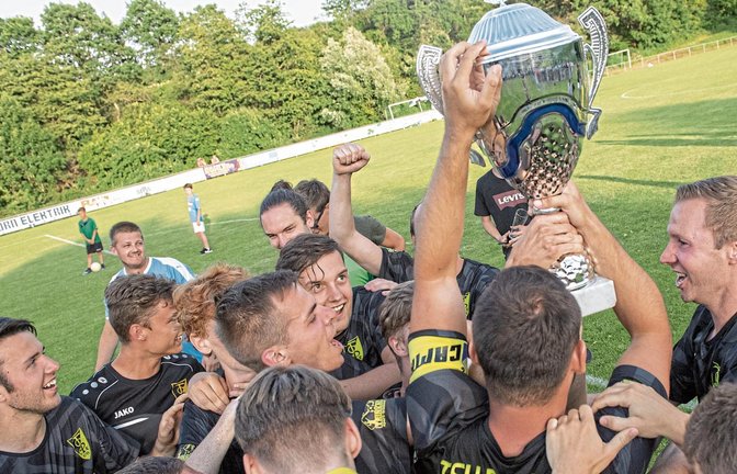 Nachdem der Stadtpokal wegen der Corona-Pandemie im vergangenen Jahr nicht ausgespielt wurde, soll in diesem Sommer ein Nachfolger für den TSV Ensingen gesucht werden.  Foto: Leitner