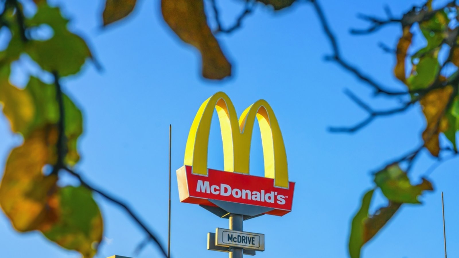 Hat McDonalds die pflanzlichen Nuggets aus dem Sortiment genommen?Foto: s8/ Shutterstock Hat McDonalds die pflanzlichen Nuggets aus dem Sortiment genommen?Foto: s8/ Shutterstock