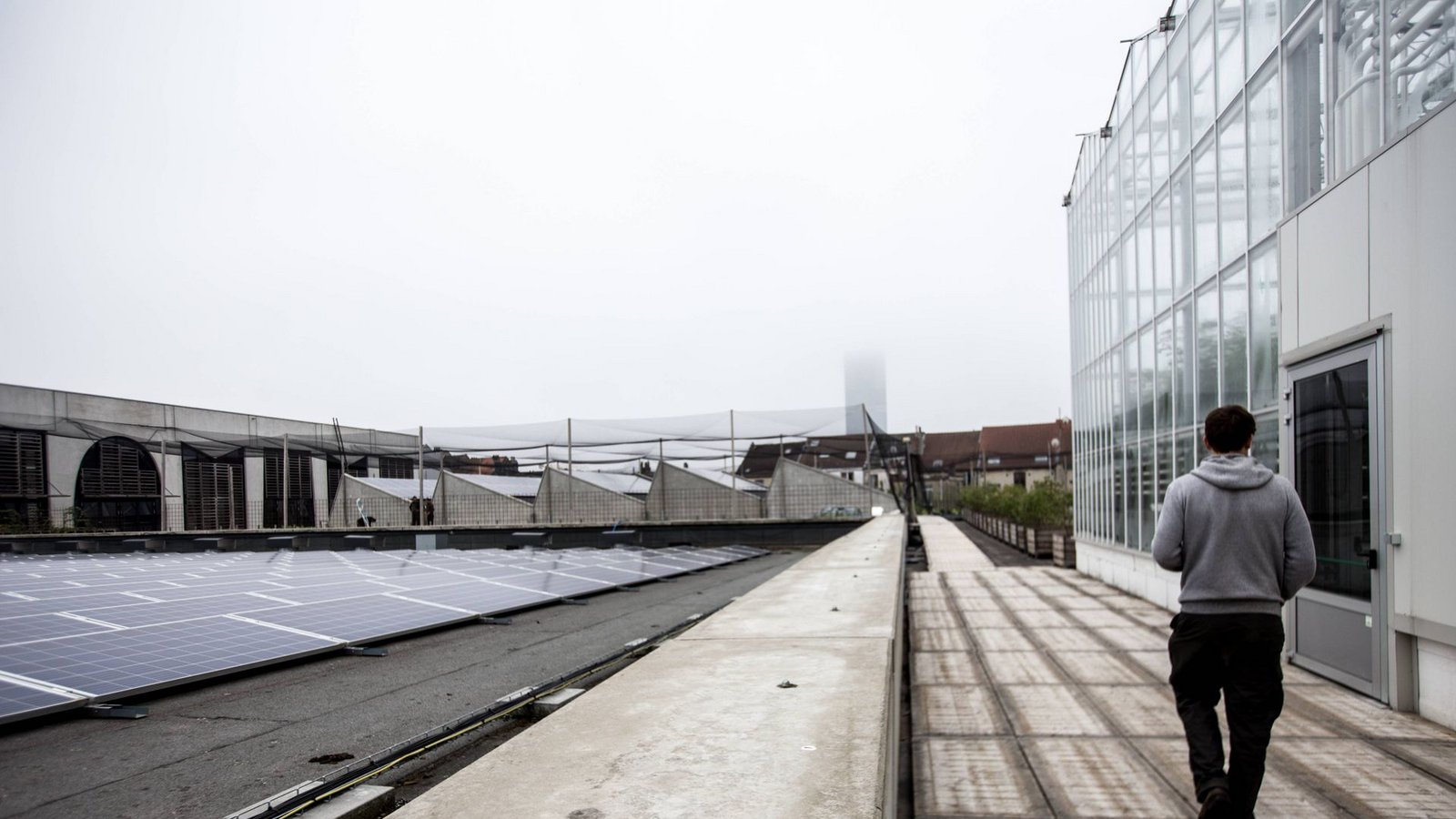Links sieht man die Photovoltaik-Anlage, die die Gewächshäuser mit Strom versorgt.Foto: imago/Heline Vanbeselaere Links sieht man die Photovoltaik-Anlage, die die Gewächshäuser mit Strom versorgt.Foto: imago/Heline Vanbeselaere