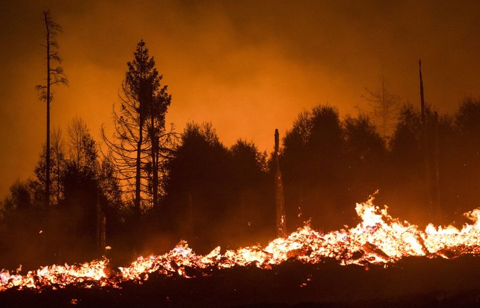 Auch in Europa – wie hier in Thüringen – kommt es immer häufiger zu Waldbränden.<span class='image-autor'>Foto: dpa</span>