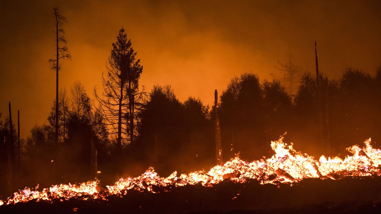 Auch in Europa – wie hier in Thüringen – kommt es immer häufiger zu Waldbränden.Foto: dpa Auch in Europa – wie hier in Thüringen – kommt es immer häufiger zu Waldbränden.Foto: dpa