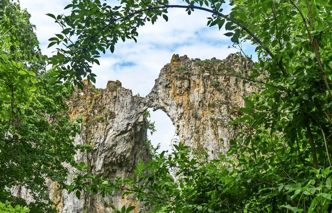 Man muss nicht erklären, wie die Küssende Sau bei Blaubeuren zu ihrem Namen kam.<span class='image-autor'>Foto: Faltin</span>