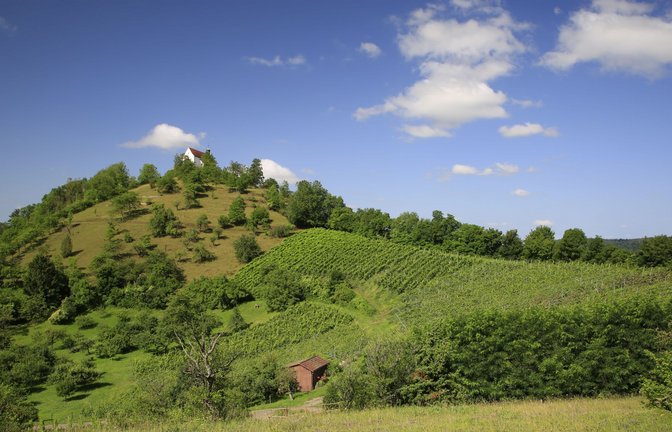 Die Wurmlinger Kapelle gehört zu den Top-Ausflugszielen im Land.<span class='image-autor'>Foto: /Dieter Buck</span>