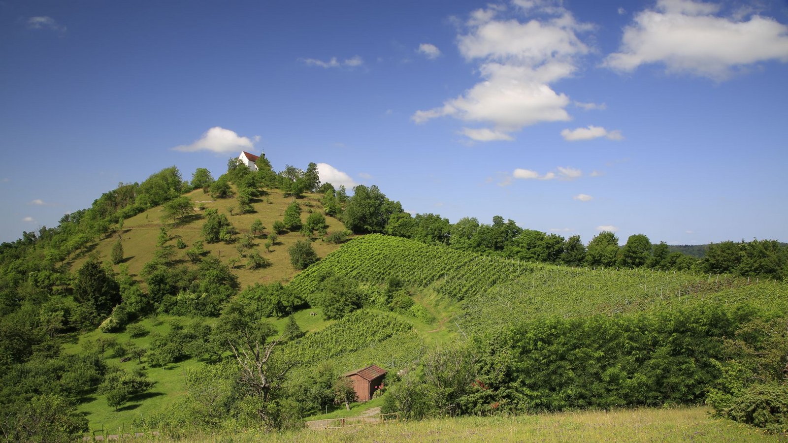 Die Wurmlinger Kapelle gehört zu den Top-Ausflugszielen im Land.Foto: /Dieter Buck Die Wurmlinger Kapelle gehört zu den Top-Ausflugszielen im Land.Foto: /Dieter Buck