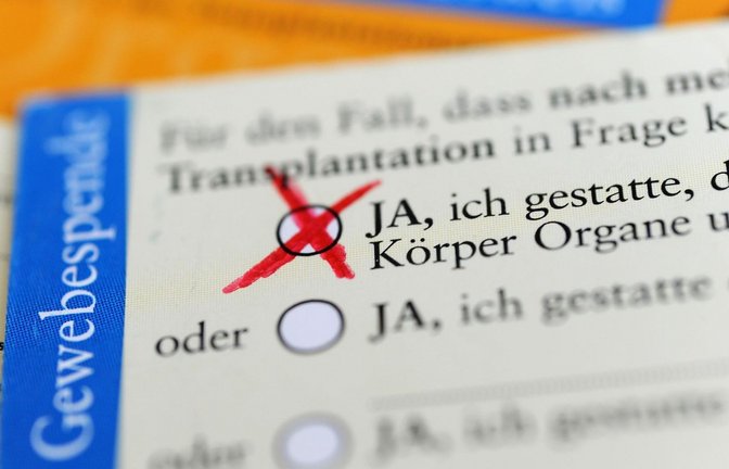 Experten zufolge ist die fehlende Dokumentation in Deutschland das größte Problem: Organspenden scheitern oft an einer fehlenden persönlichen Zustimmung.<span class='image-autor'>Foto: Marie Reichenbach/dpa</span>