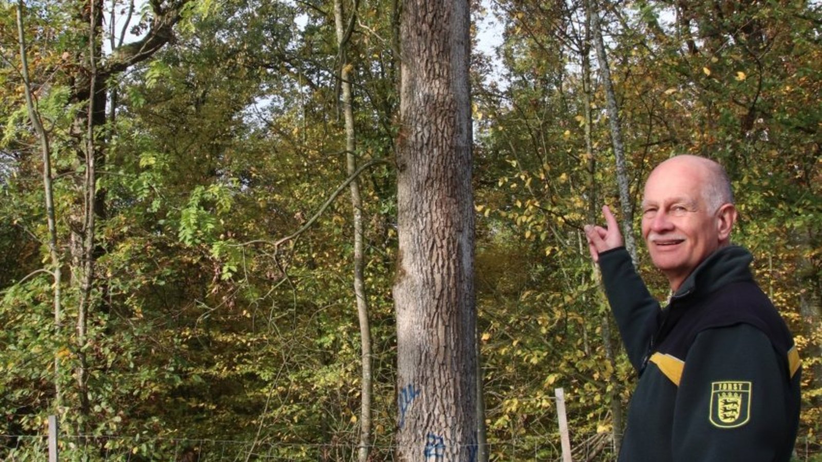 Revierförster Jürgen Riedinger mit einem zertifizierten Habitatbaum. Revierförster Jürgen Riedinger mit einem zertifizierten Habitatbaum.