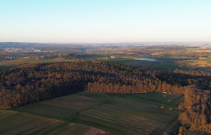 Die Einbuchtung im Wald ist das Gewann Dettenäcker, das zur Windvorrangfläche LB-11 gehört. Hier möchte die in Gründung befindliche Genossenschaft ein Bürgerwindrad bauen.  <span class='image-autor'>Foto: Küppers</span>