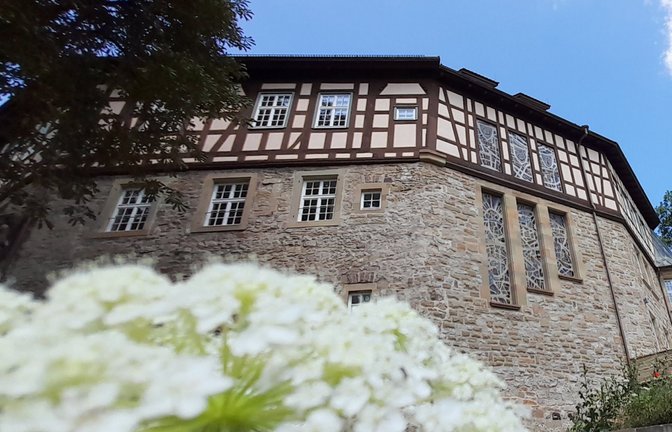 Ein Besuchermagnet war die Sonderausstellung übers Wasserschloss. Archivfoto: VKZ