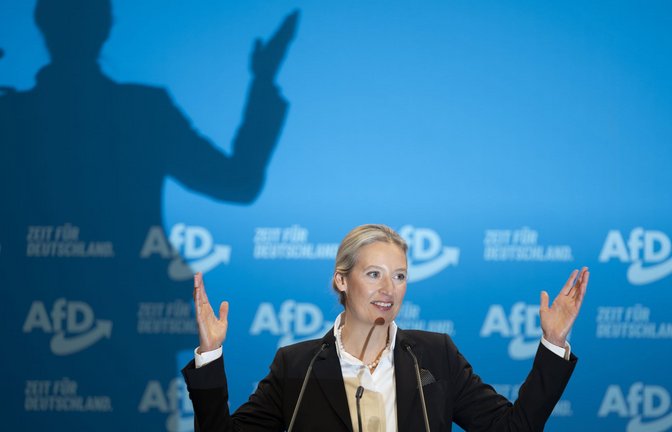 Die in Teilen rechtsextreme AfD stellte Parteichefin Alice Weidel am Wochenende offiziell als Kanzlerkandidatin auf.<span class='image-autor'>Foto: Sebastian Kahnert/dpa</span>