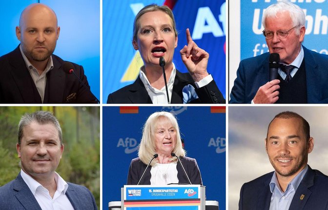 Mehrere AfD-Politiker aus Baden-Württemberg finden sich mit Aussagen im Gutachten des Verfassungsschutz.<span class='image-autor'>Foto: dpa/Markus Lenhardt, AFP/Soeren Stache, imago/Bihlmayerfotografie, Simon Granville, imago/dts Nachrichtenagentur, AfD/privat</span>