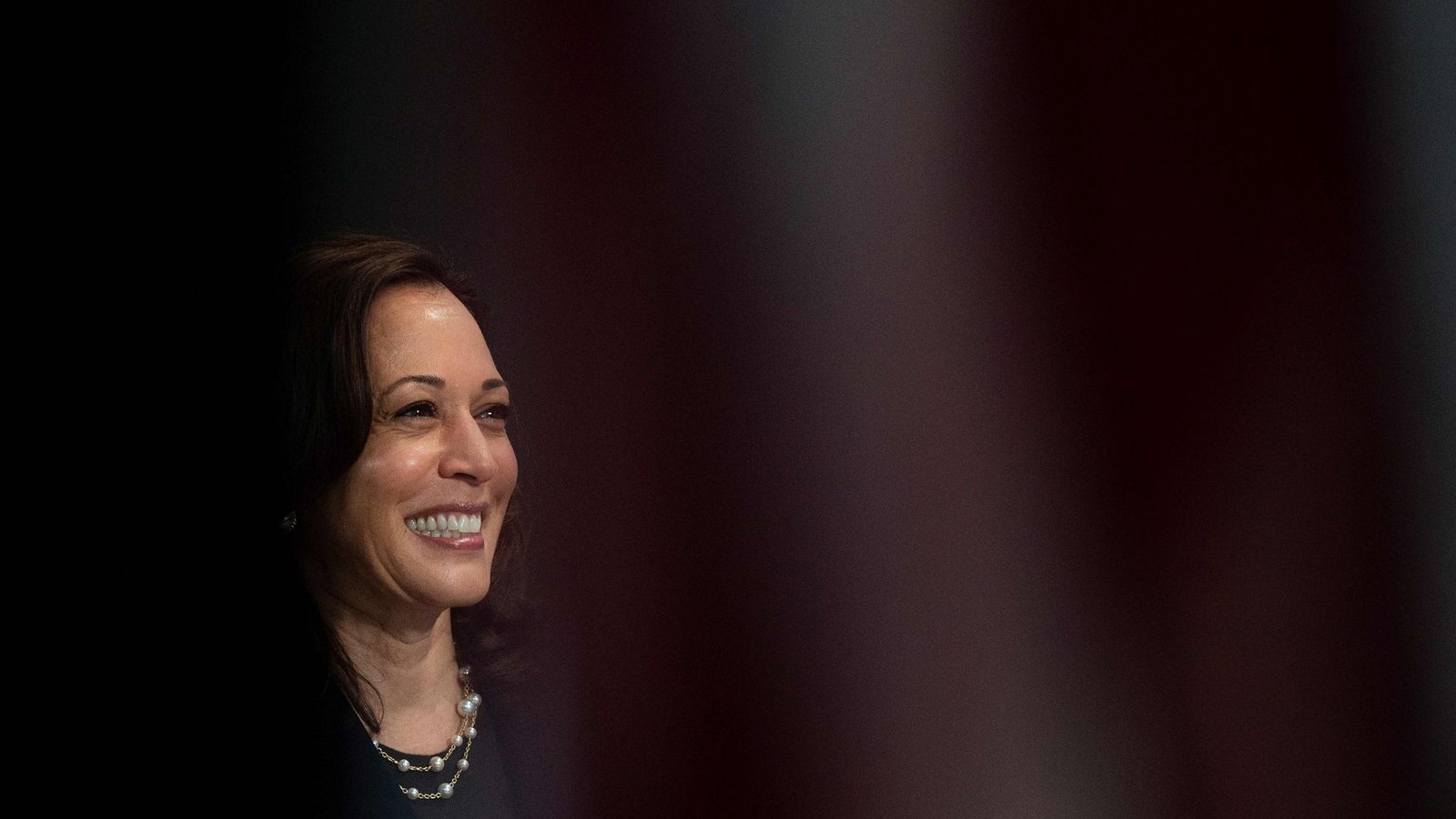 Kamala Harris will Präsidentschaftskandidatin der Demokraten werden.Foto: AFP/JIM WATSON Kamala Harris will Präsidentschaftskandidatin der Demokraten werden.Foto: AFP/JIM WATSON
