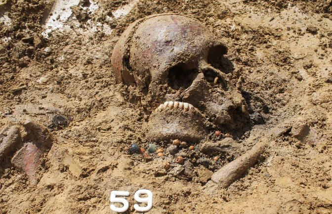 Rund 1400 Jahre alter Schädel einer Frau während der Freilegung ihres Grabes im heutigen Ergoldsbach. Aus einem winzigen Knochenstück des Schädels haben Paläogenetiker der JGU das komplette Erbgut der Verstorbenen rekonstruiert.<span class='image-autor'>Foto: Kreisarchäologie Landshut/Richter</span>