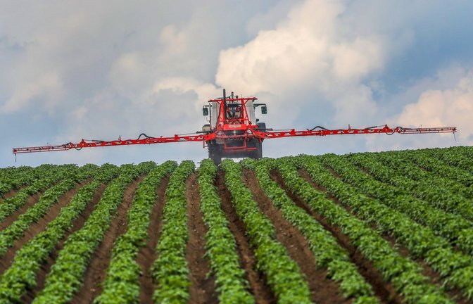 Auch auf Kartoffelfeldern werden Pflanzenschutzmittel eingesetzt.<span class='image-autor'>Foto: dpa</span>