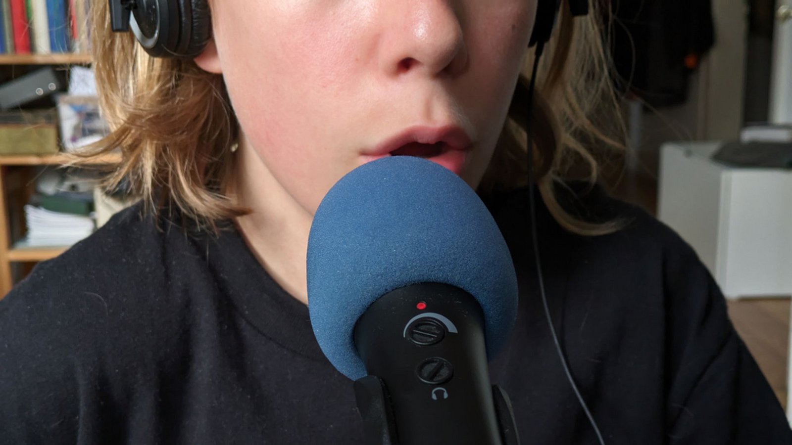 Es muss kein Profi-Mikrofon sein, aber damit klingen die Tonaufnahmen noch professioneller.Foto: StZ/privat Es muss kein Profi-Mikrofon sein, aber damit klingen die Tonaufnahmen noch professioneller.Foto: StZ/privat