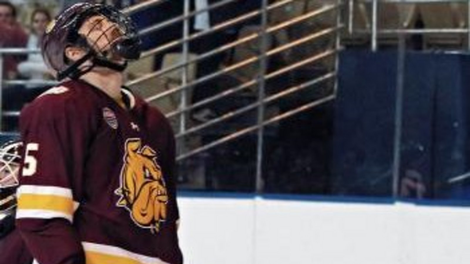 Willie Corrin – hier noch im Trikot der Universitätsmannschaft Minnesota-Duluth Bulldogs – tritt bei den Bietigheim Steelers seine erste Europastation an. Foto: ddp Willie Corrin – hier noch im Trikot der Universitätsmannschaft Minnesota-Duluth Bulldogs – tritt bei den Bietigheim Steelers seine erste Europastation an. Foto: ddp