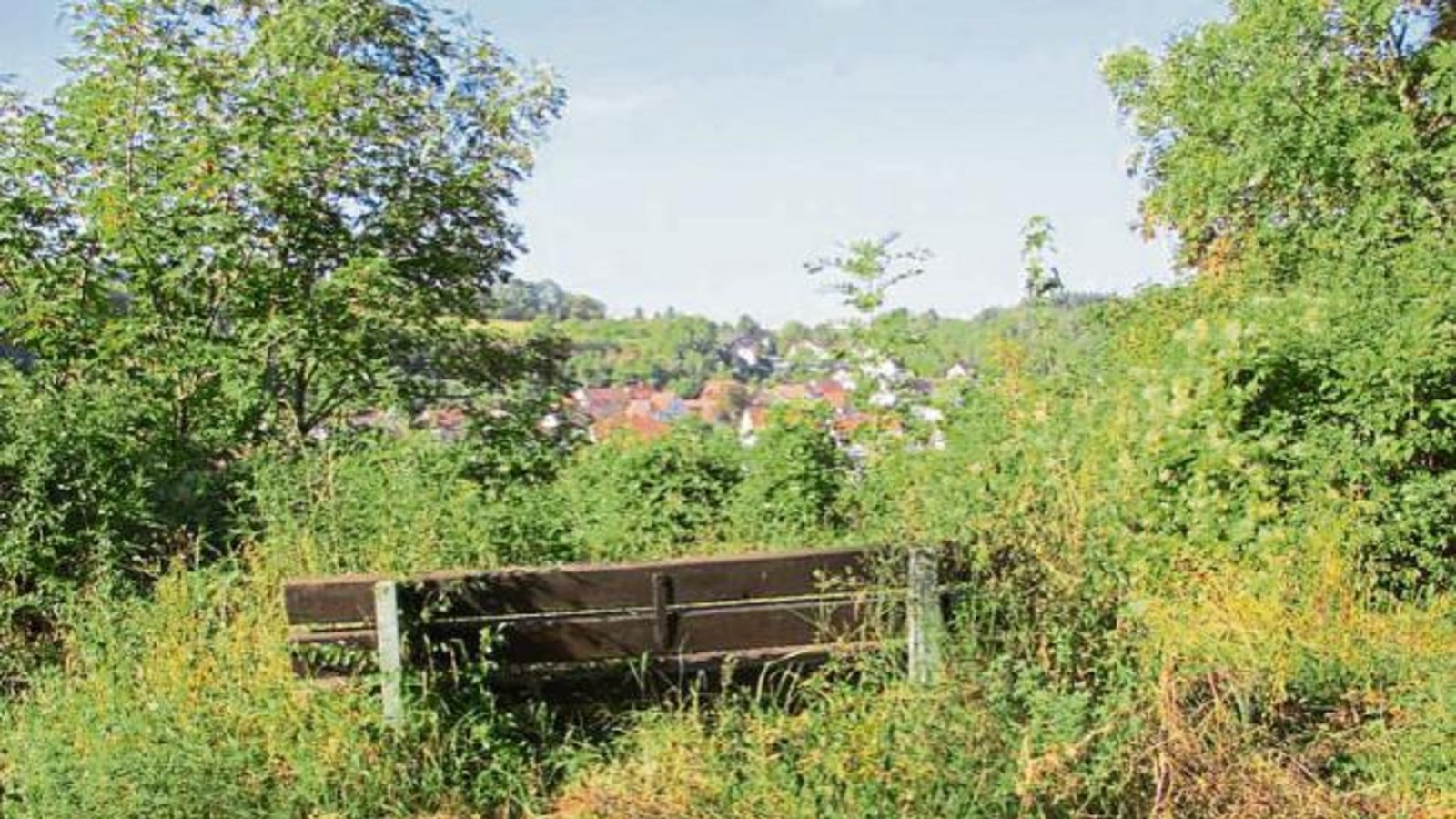 Im Auricher Schönblickweg wird seit geraumer Zeit der schöne Blick vermisst, meldet uns Ursel Ellmer. Im Auricher Schönblickweg wird seit geraumer Zeit der schöne Blick vermisst, meldet uns Ursel Ellmer.