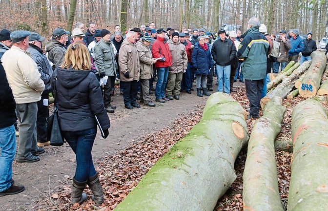 Rund eineinhalb Kilometer müssen die Käufer bei der Holzversteigerung in Nussdorf marschieren. Fotos: Bögel