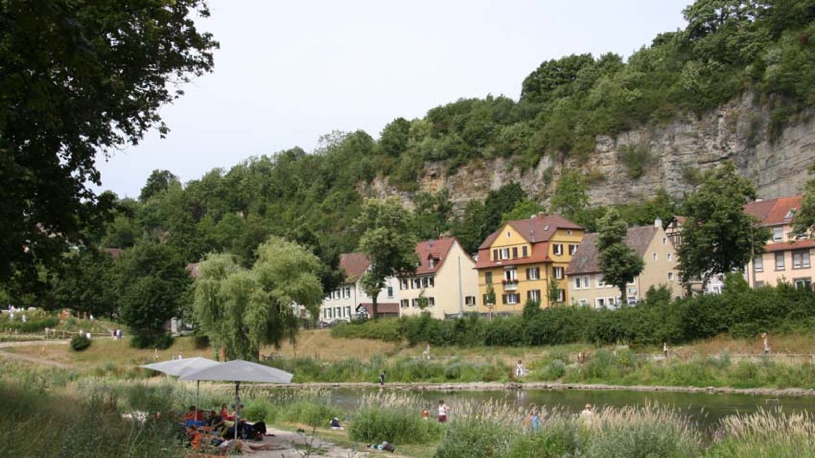 enz16