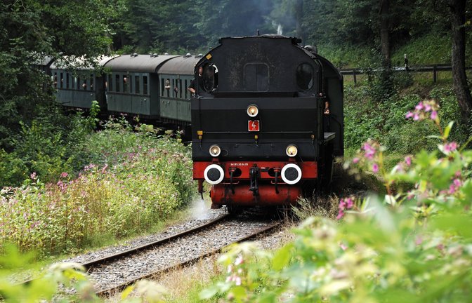 Auch mithilfe der historischen Dampflok lassen sich die ältesten Luftkurorte  Muggendorf und Streitberg der fränkischen Schweiz erkunden. (Archivbild)<span class='image-autor'>Foto: imago stock&people/imago stock&people</span>