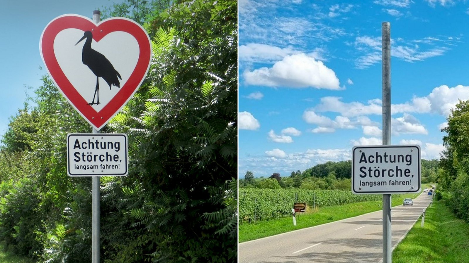 Beliebt bei Dieben: Die herzförmigen Storch-Schilder.Foto: Tripsrill