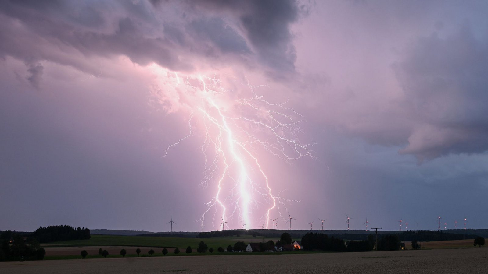 Die Wetterfrösche kündigen Blitz und Donner an.Foto: dpa/Marius Bulling Die Wetterfrösche kündigen Blitz und Donner an.Foto: dpa/Marius Bulling