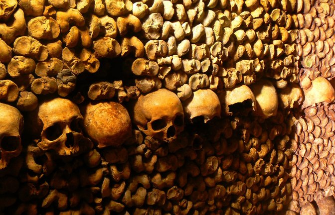 Eine Reihe Totenköpfe hängt an einer Wand der Katakomben in Paris.<span class='image-autor'>Foto: picture-alliance/ dpa | DB Julika Herzog</span>