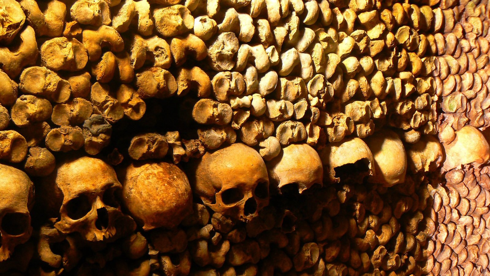 Eine Reihe Totenköpfe hängt an einer Wand der Katakomben in Paris.Foto: picture-alliance/ dpa | DB Julika Herzog Eine Reihe Totenköpfe hängt an einer Wand der Katakomben in Paris.Foto: picture-alliance/ dpa | DB Julika Herzog